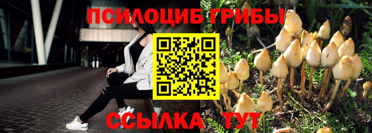 Галлюциногенные грибы Magic Shrooms Приморско-Ахтарск